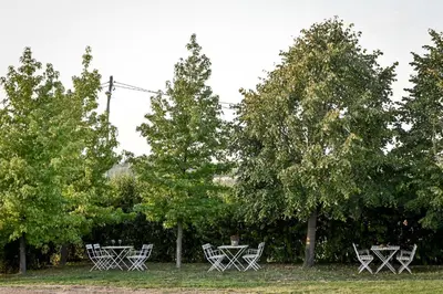 a group of tables and chairs under trees at Smart glamp in Bukovik