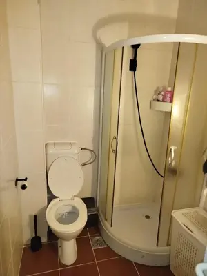 a small bathroom with a toilet and a shower at Gold Apartments in Belgrade
