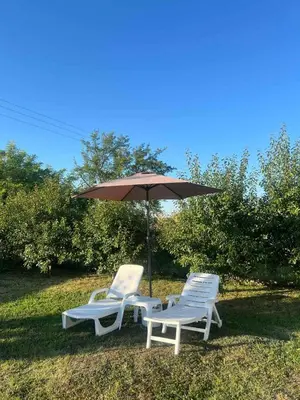 two chairs and an umbrella in the grass at Kuca sa bazenom Oazis in Pećinci