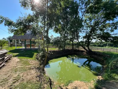 a pond in the middle of a park with a tree at La Corte Delle Rose UB in Ub