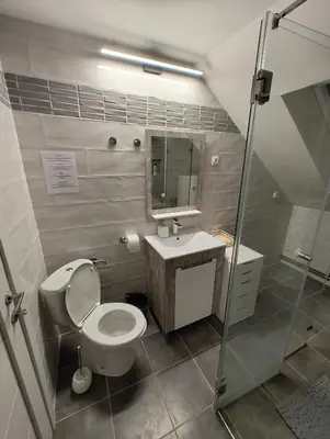 a bathroom with a toilet and a sink and a mirror at Miki Private Room in Belgrade