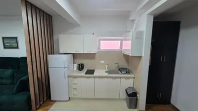 a small kitchen with a refrigerator and a sink at Apartman Lela in Belgrade