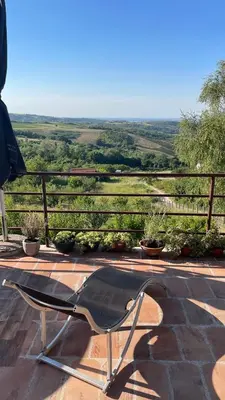 a chair sitting on a patio with a view at Villa Popovic - apartments Fruska gora in Sremski Karlovci