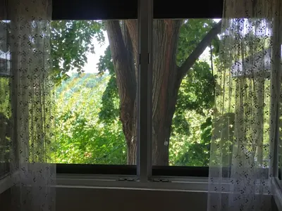 an open window with a view of a tree at Kućica Osmeha in Donja Ralja
