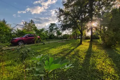 a red car parked in a field with a tree at Kućica Osmeha in Donja Ralja