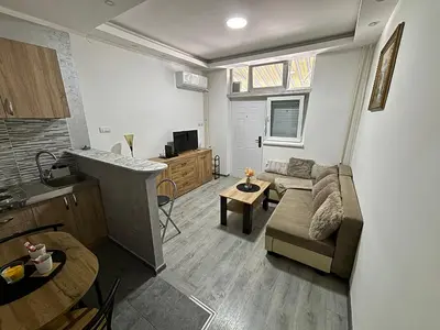 a small living room with a couch and a kitchen at Apartment DD in Belgrade