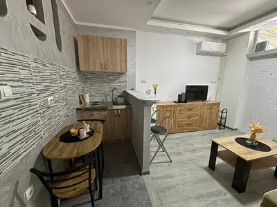 a kitchen and living room with a table and chairs at Apartment DD in Belgrade