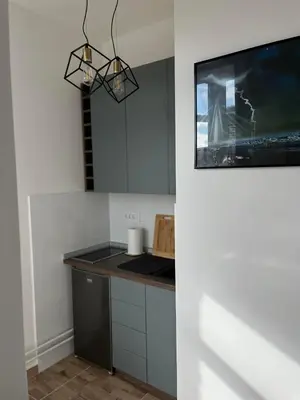 a kitchen with a sink and a counter top at MUNJA Apartman in Belgrade