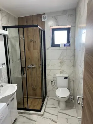 a bathroom with a shower and a toilet and a sink at Apartman Dami in Belgrade
