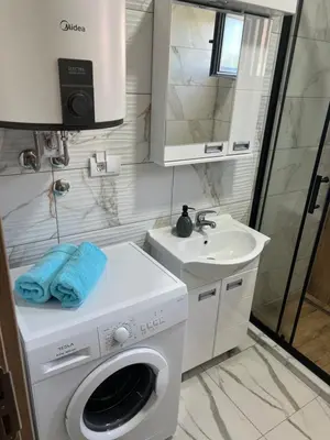 a bathroom with a washing machine and a sink at Apartman Dami in Belgrade