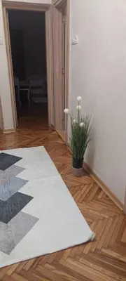 a room with a rug and a potted plant on a wooden floor at Apartment Pionir Grim in Belgrade