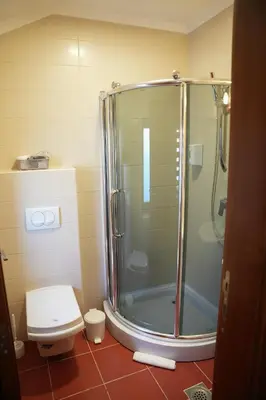 a bathroom with a shower and a toilet at Comfort Lodge in Stari Banovci