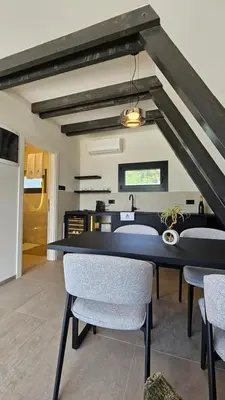 a dining room with a black table and chairs at Nikis House Beograd in Ba°evac