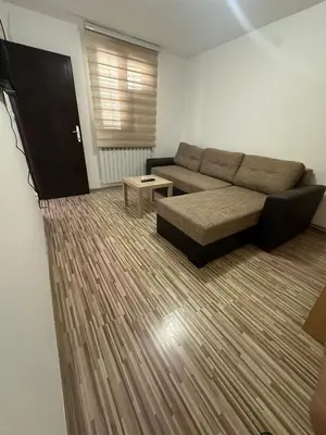 a living room with a couch and a table at BIRDS apartmani in Belgrade