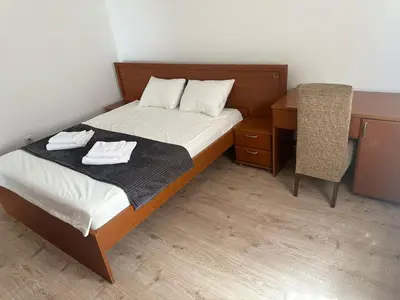 a bedroom with a bed and a desk and a chair at BIRDS apartmani in Belgrade