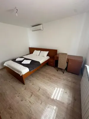 a bedroom with a bed and a desk and chair at BIRDS apartmani in Belgrade