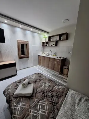 a bathroom with a bed in the middle of a room at Apartments Green Beograd in Borča