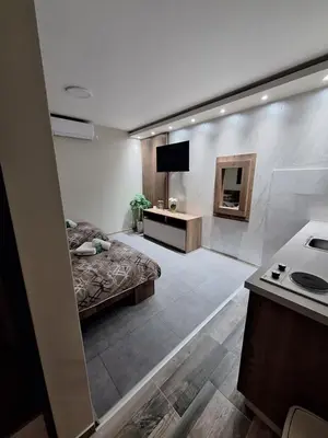 a room with a bed and a television in it at Apartments Green Beograd in Borča