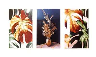 three pictures of a vase with feathers in it at Cozy apartment near Saint Sava Temple in Belgrade