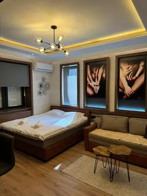 a bedroom with a bed and a couch at Apartment Despot in Belgrade