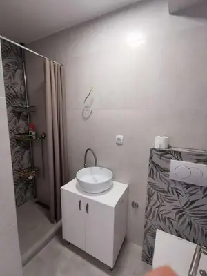 Gallery image of Institut Apt in Tošin Bunar