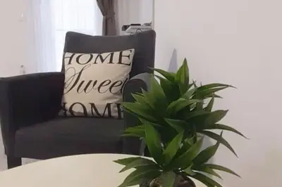 a chair and a table with a pillow and a plant at BRAND NEW Entire Place in CENTER of ZEMUN in Belgrade