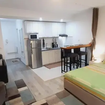 BRAND NEW Entire Place in CENTER of ZEMUN