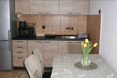a kitchen with a table with a vase of flowers on it at Apartmani Djordjevic in Belgrade