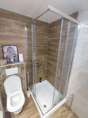 a bathroom with a shower and a toilet at Golden dream apartman in Pančevo