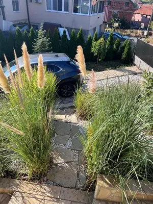 a car parked in a yard with tall grass at Villa Ana - Charming Appartments in Belgrade