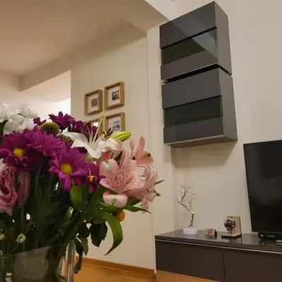 BNB Apartments LUX