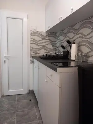 a kitchen with a sink and a counter top at Studio Djurdjica in Belgrade