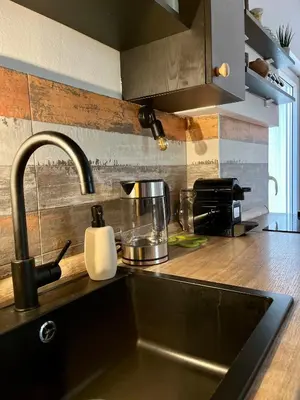 a kitchen with a sink and a counter top at Urban Oasis in Belgrade