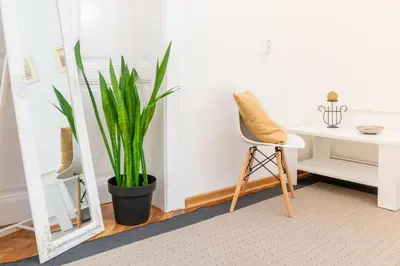 a chair and a desk and a plant in a room at Central and Comfy 2BDR apartment near Parliament in Belgrade