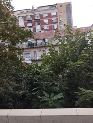 a tall apartment building with trees in front of it at Luna in Vračar (historical)