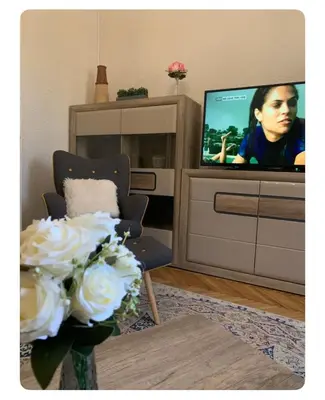 a living room with a tv and a chair and flowers at Luxury Apartment 8 in Belgrade