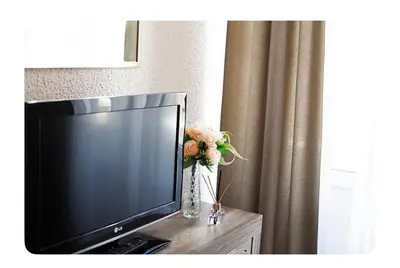 a television on a table with a vase with flowers at Luxury Apartment 8 in Belgrade