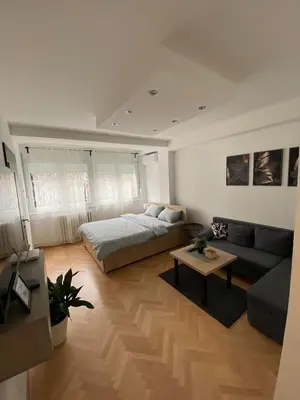 a living room with a couch and a table at Vist 2 apartment in Tošin Bunar