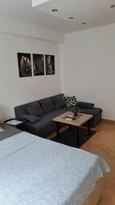 a living room with a couch and a table at Vist 2 apartment in Tošin Bunar