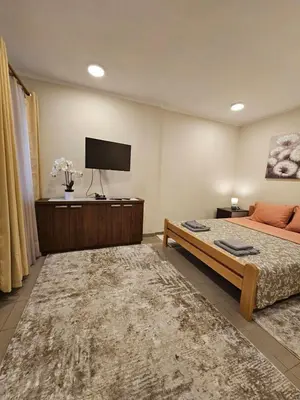 a bedroom with a bed and a flat screen tv at Prenoćište Lana 2 in Novi Banovci