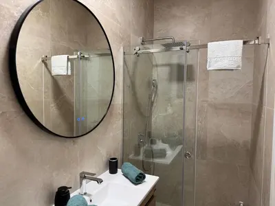 a bathroom with a shower and a sink and a mirror at Maison Danube in Belgrade