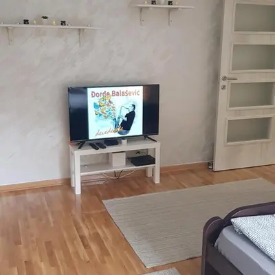 a living room with a flat screen tv on a table at Apartman Vojvoda in Sajmište