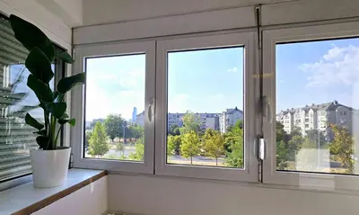 a room with three windows and a potted plant at Apartment 10 in Belgrade