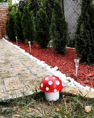 a red and white mushroom sitting in a garden at Mali Raj in Beška