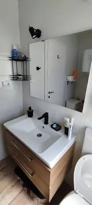 a bathroom with a sink and a toilet at Mali Raj in Beška
