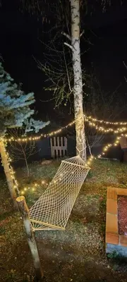 a net on a tree in a yard with lights at Mali Raj in Beška