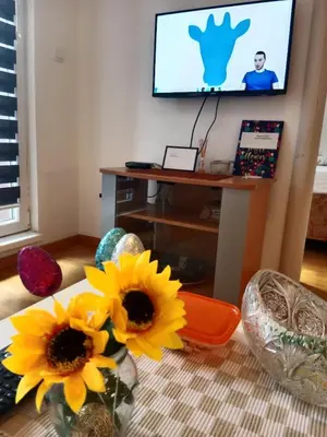a living room with a table with flowers and a tv at Dora Apartman in Mirijevo