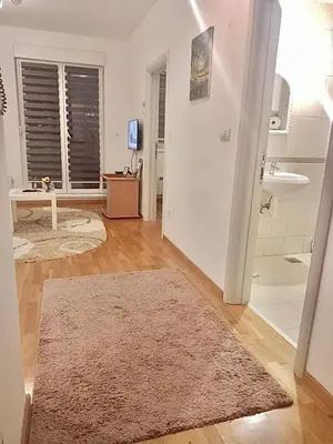 a living room with a door and a rug at Dora Apartman in Mirijevo