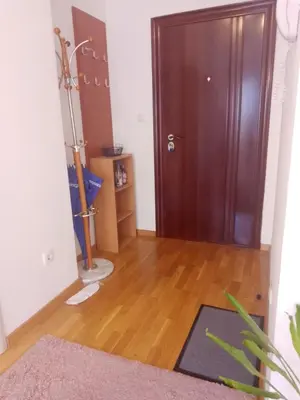 a hallway with a wooden door and a rug at Dora Apartman in Mirijevo