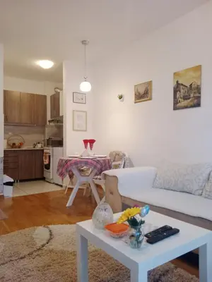 a living room with a white couch and a table at Dora Apartman in Mirijevo